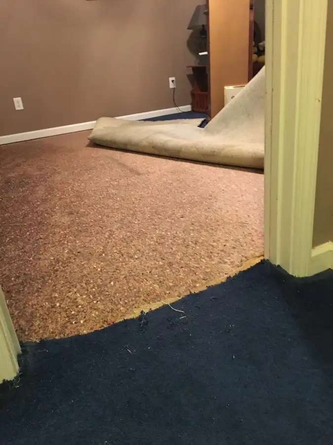 Carpet pad removal revealing water damage during Drying & Dehumidification in Forestville