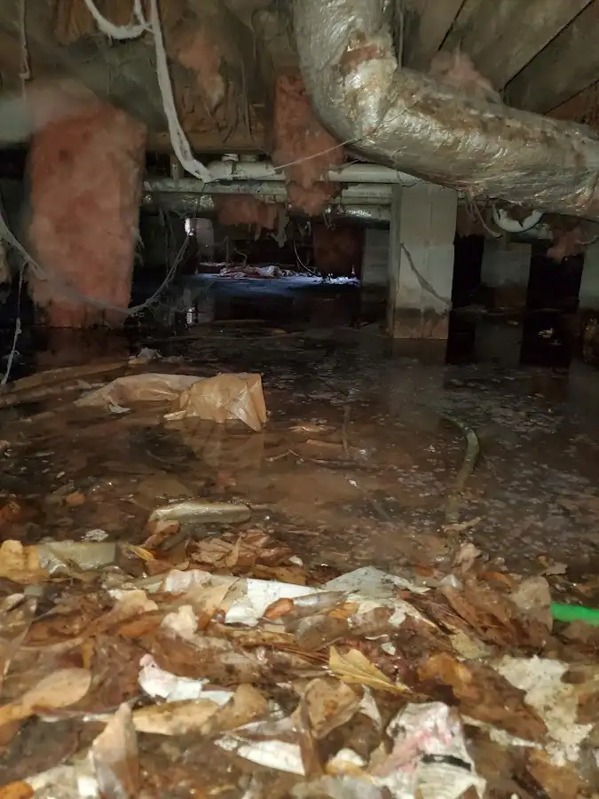Crawl space flood assessment for Commercial Water Damage Restoration in Forestville