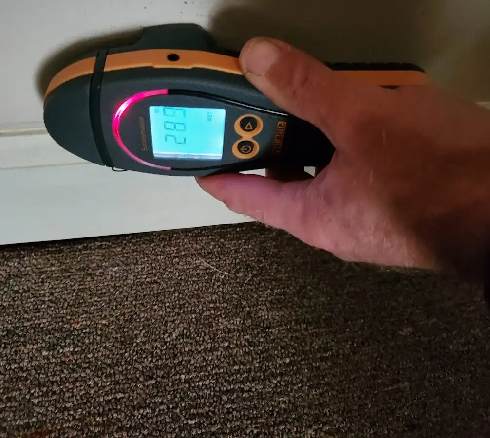 Moisture detection at baseboard during Mold Inspection & Testing in Forestville